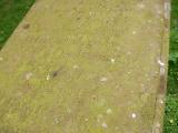 image of grave number 78474